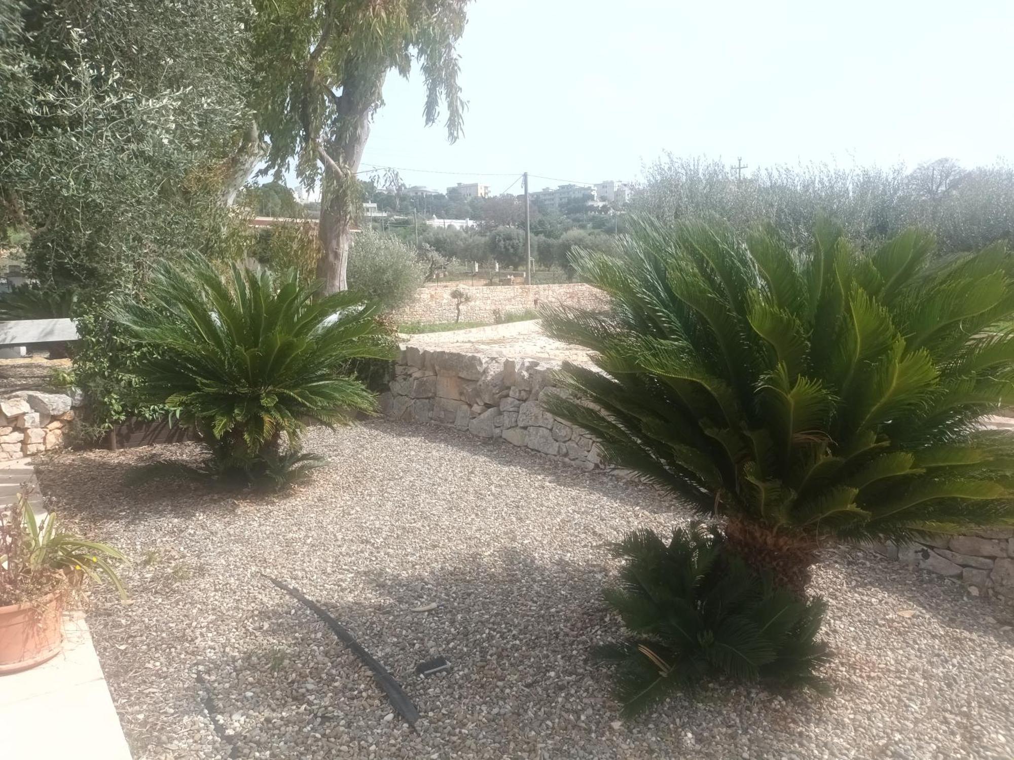 Trullo Amico Villa ชิสแตร์นีโน ภายนอก รูปภาพ